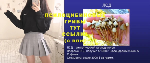 прущие крисы Алзамай