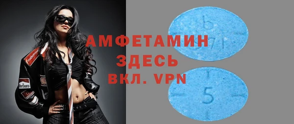 стаф Алексин