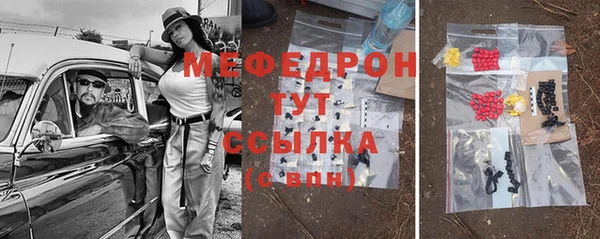 стаф Алексин