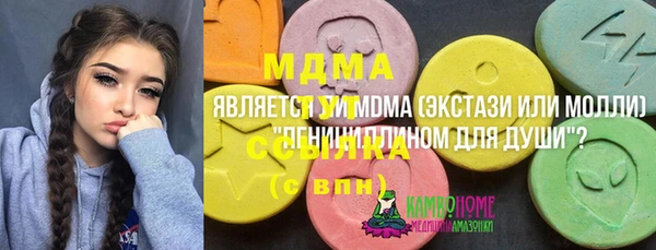 стаф Алексин