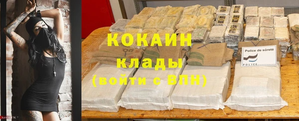 сатива Нягань