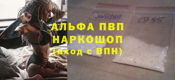 стаф Алексин