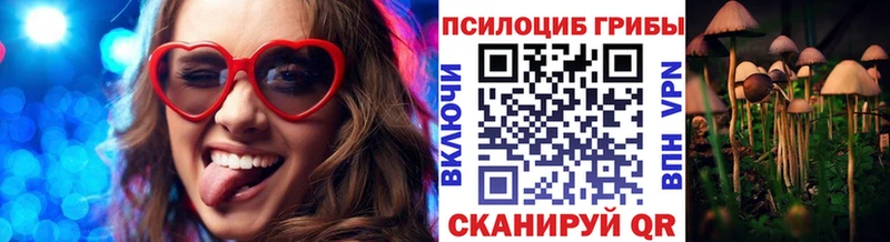 продажа наркотиков  Людиново  Галлюциногенные грибы прущие грибы 